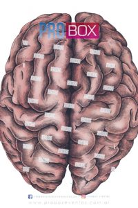Brain internal organ vintage style illustration